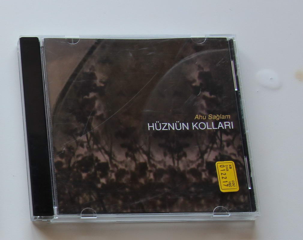 Ahu Sağlam - Hüznün Kolları