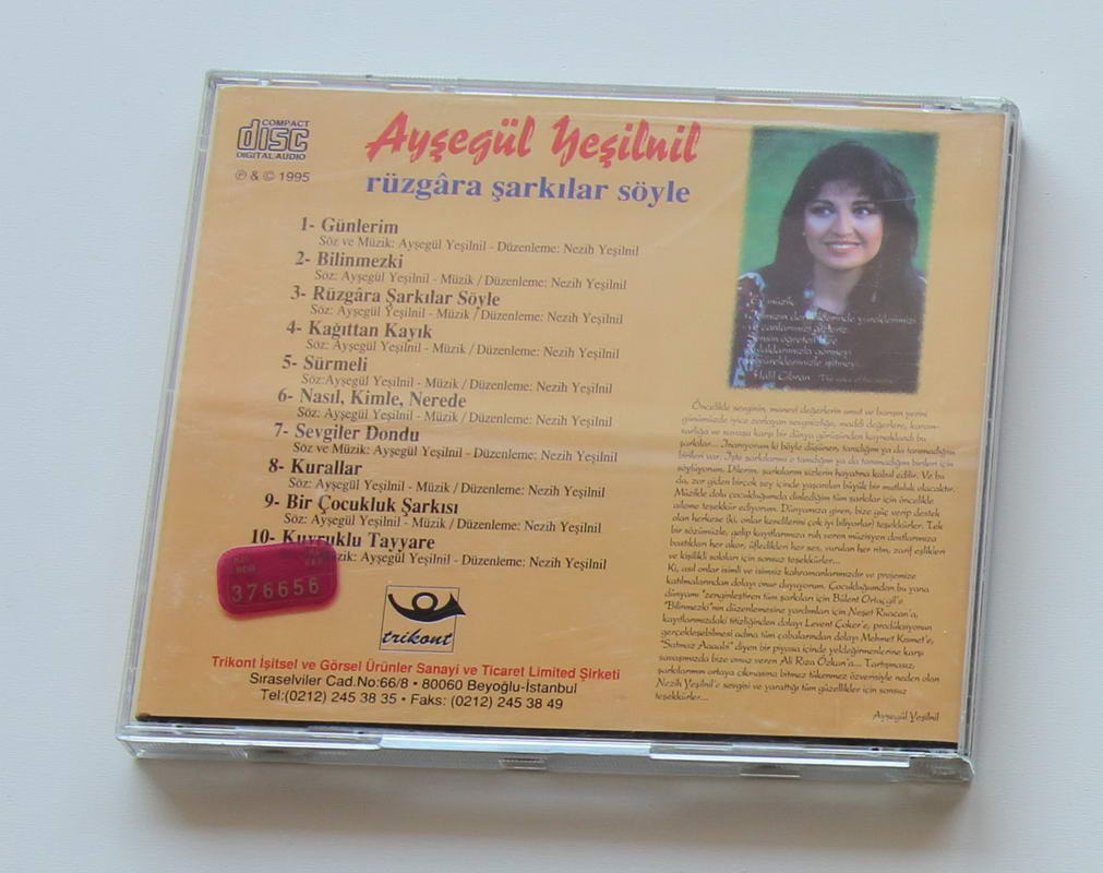 Ayşegül Yeşilnil - Rüzgara Şarkılar Söyle Arka