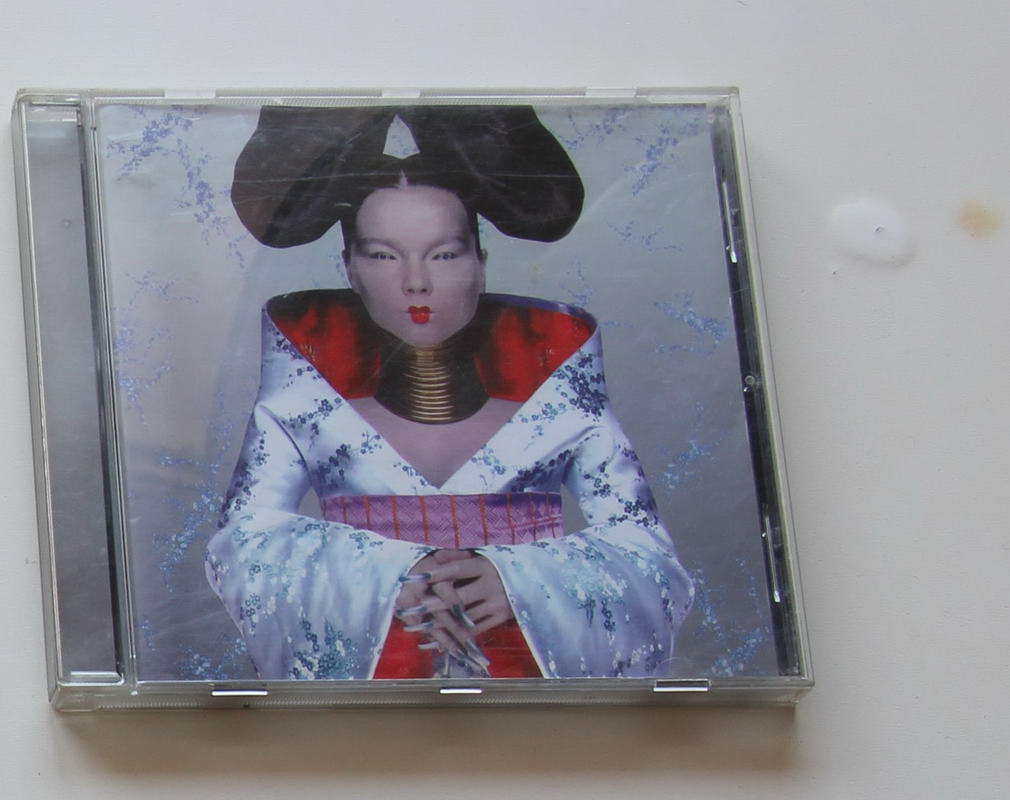 Björk - Homogenic