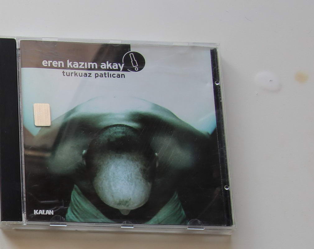 Eren Kazım Akay - Turuncu Patlıcan