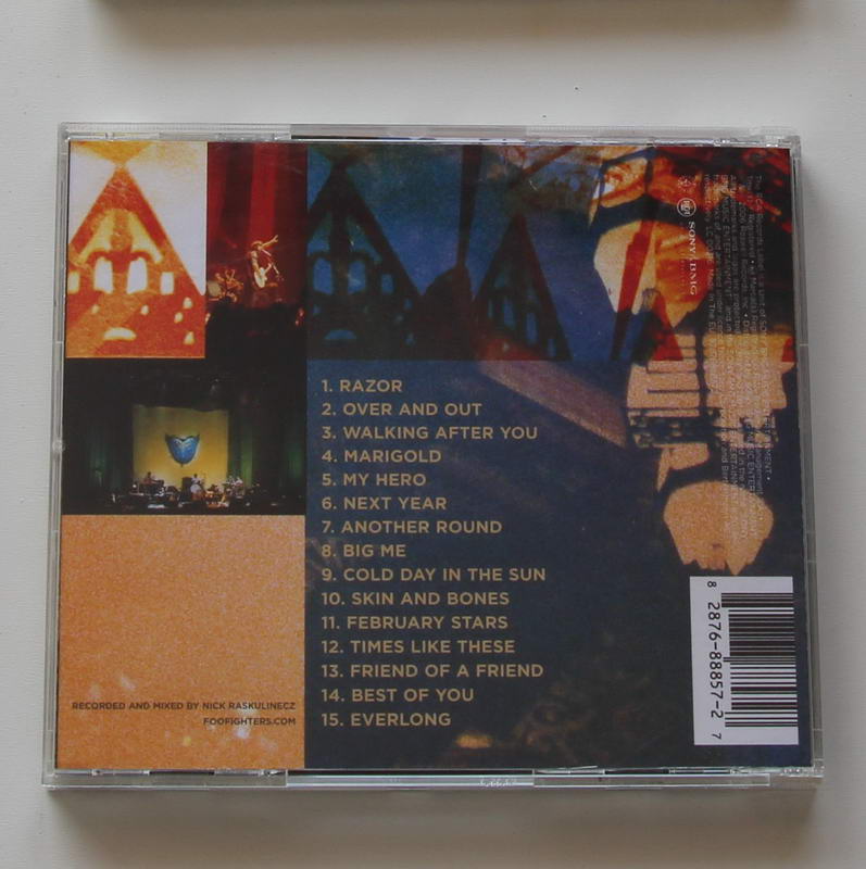 Foo Fighters - Skin and Bones Arka