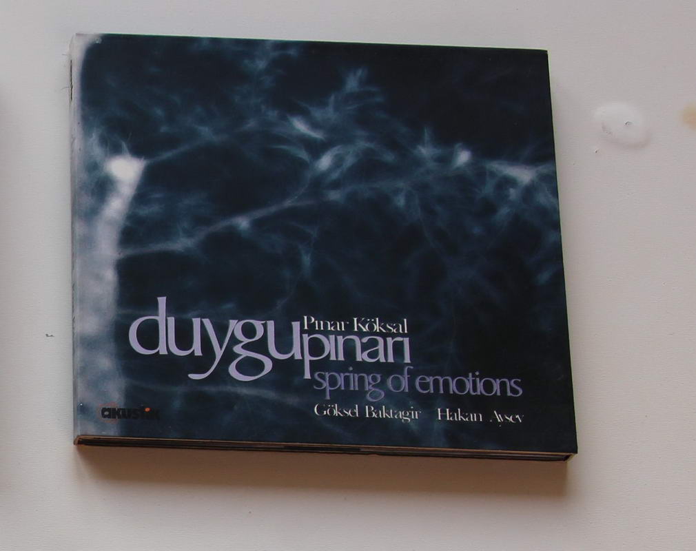 Pınar Köksal - Duygu Pınarı