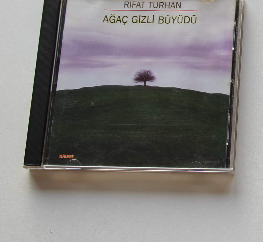 Rıfat Turhan - Agaç Gizli Büyüdü