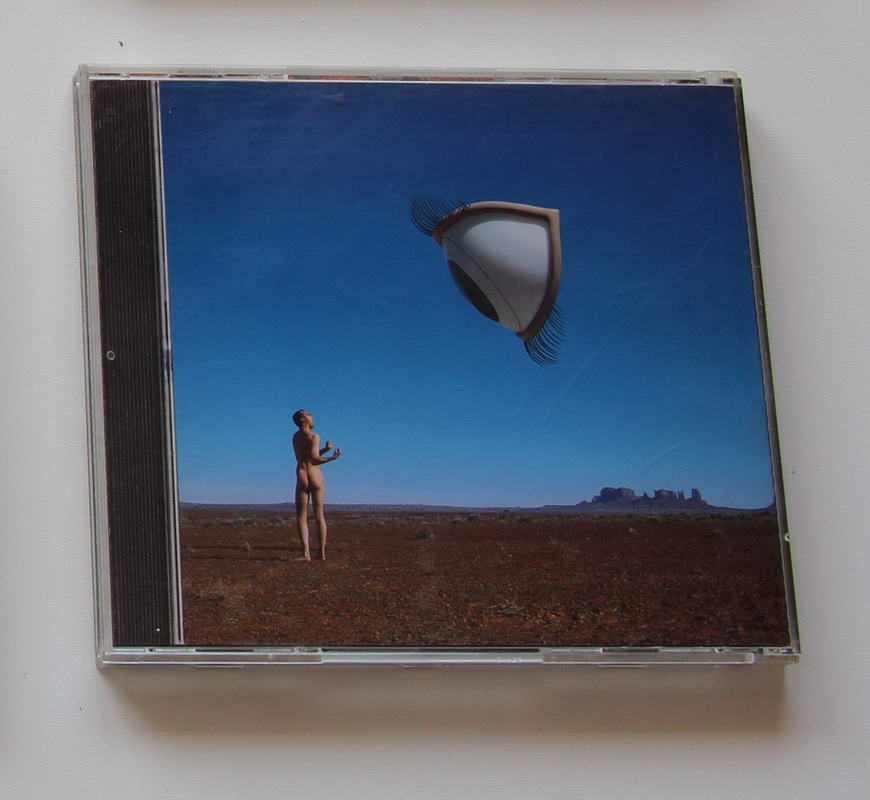 The Cranberries - Bury The Hatchet Arka